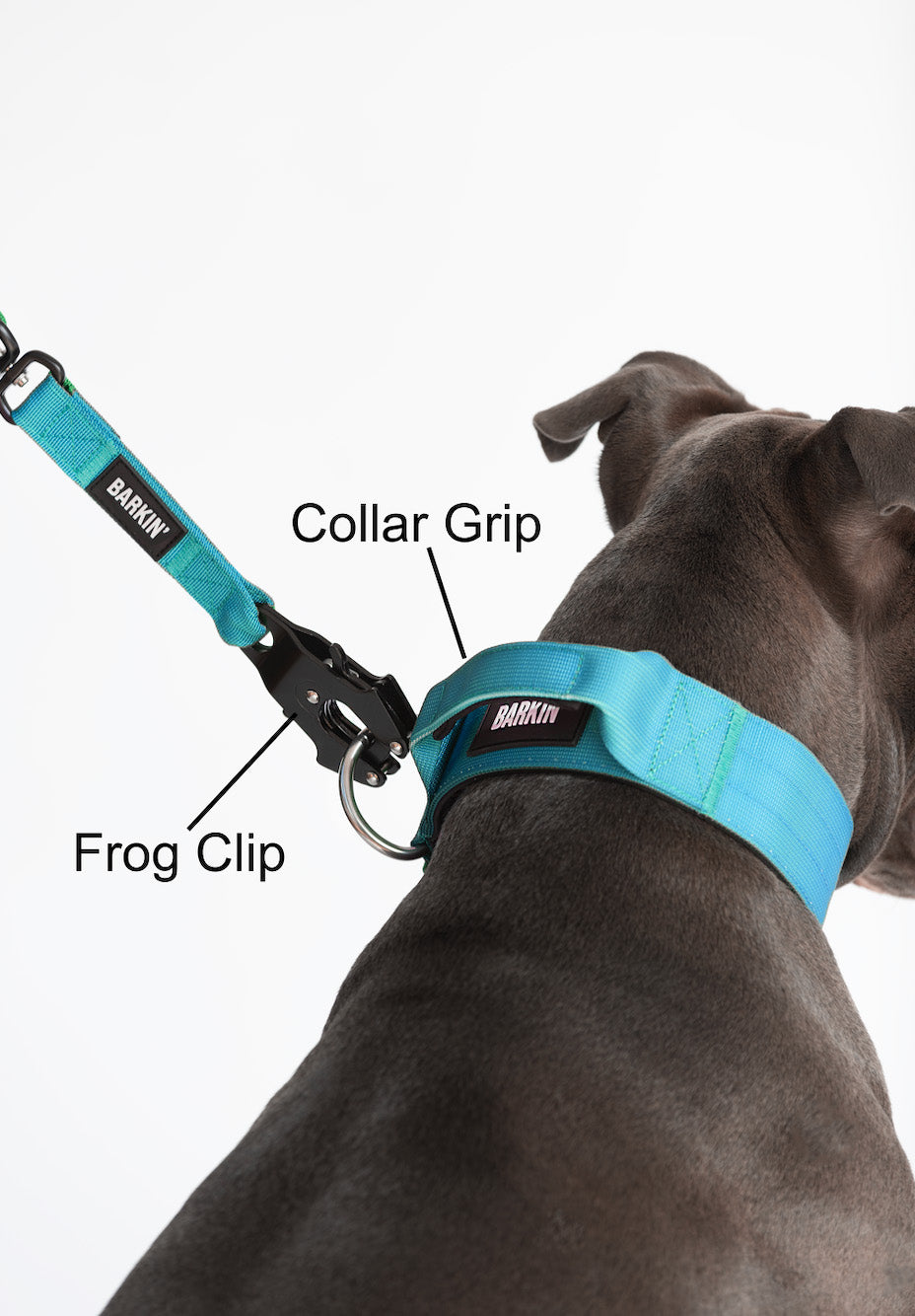 Barkin' Strength and Comfort Leash (Frog Clip)