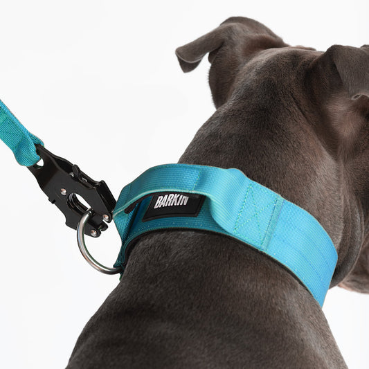 Barkin' Tactical Strength Collar *2-inch*