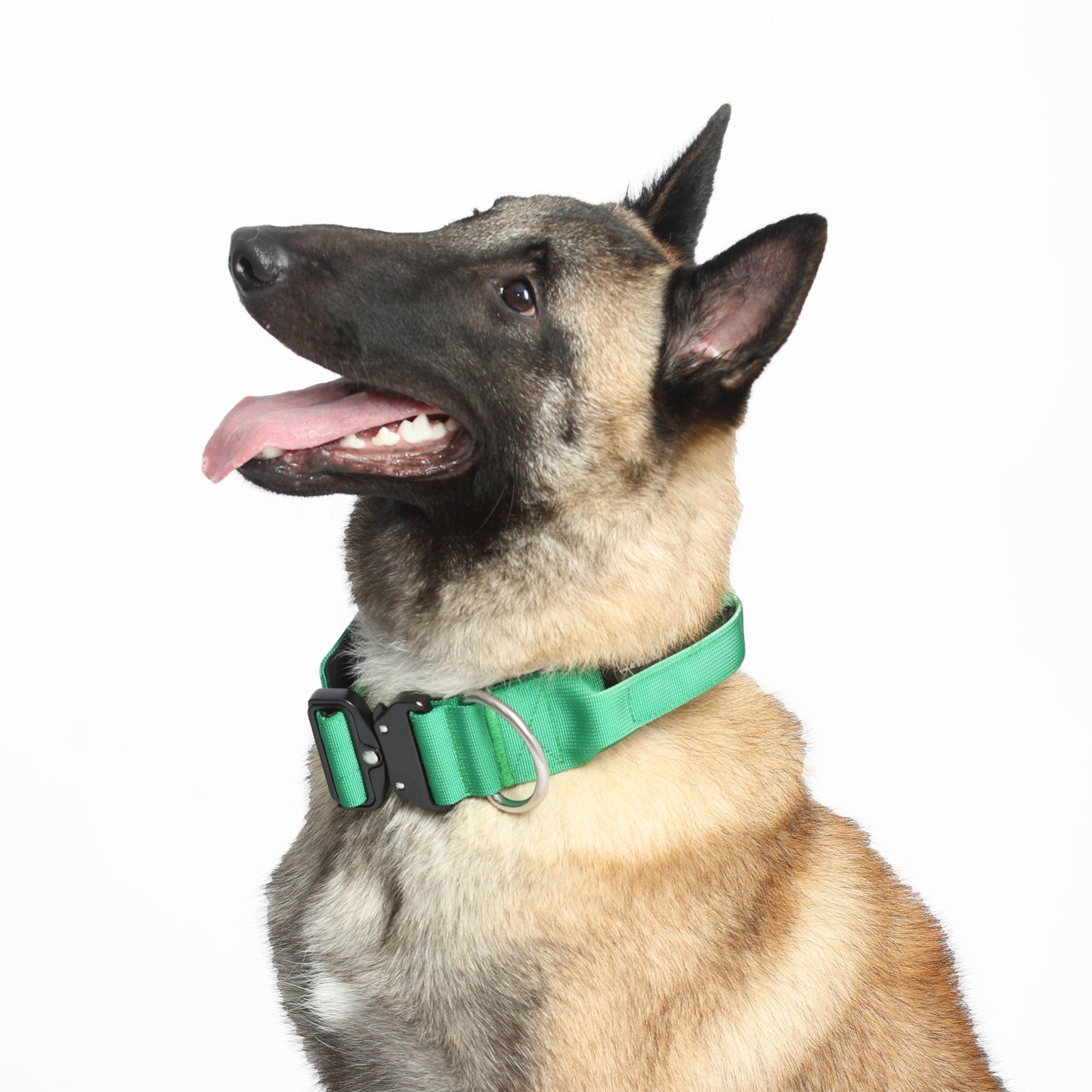 Barkin' Tactical Strength Collar *2-inch*